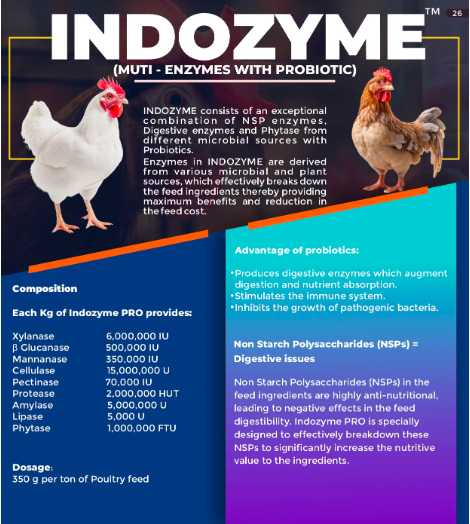 INDOZYME
